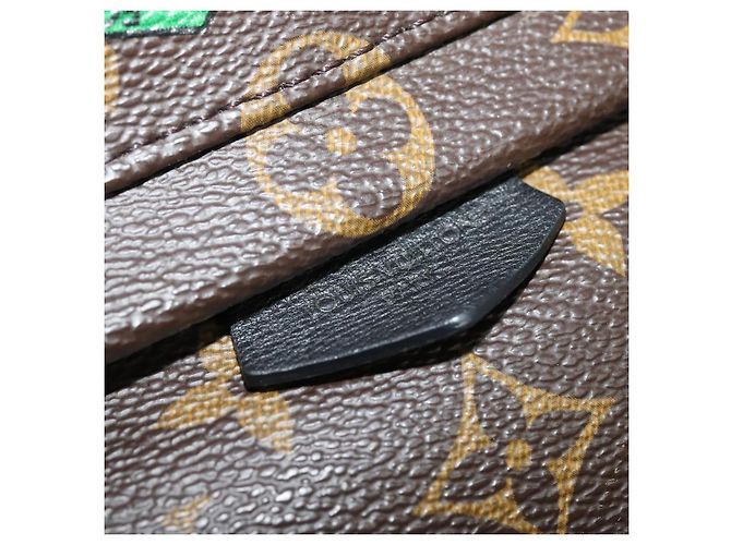 LOUIS VUITTON Borsa a Spalla Palm Springs Monogram World Tour M42971 Auth 115814SAV Monogramma - vista 20