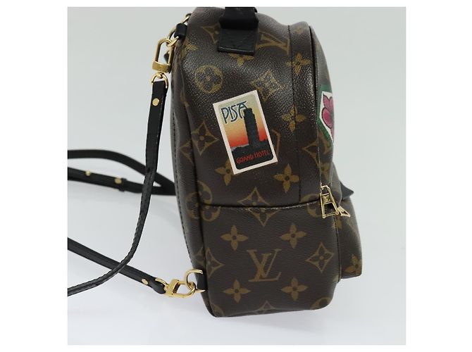 LOUIS VUITTON Borsa a Spalla Palm Springs Monogram World Tour M42971 Auth 115814SAV Monogramma - vista 3