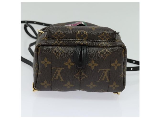 LOUIS VUITTON Borsa a Spalla Palm Springs Monogram World Tour M42971 Auth 115814SAV Monogramma - vista 5