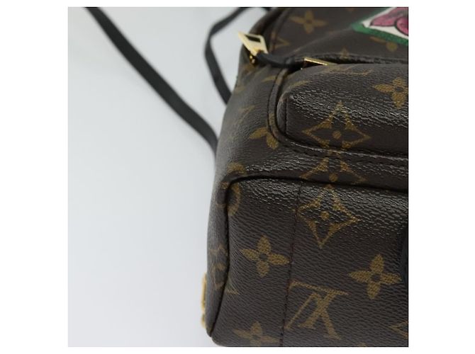 LOUIS VUITTON Borsa a Spalla Palm Springs Monogram World Tour M42971 Auth 115814SAV Monogramma - vista 9