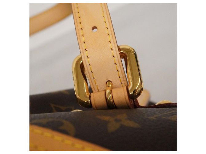 Borsa Tote Louis Vuitton Monogram Palermo GM Marrone - vista 10