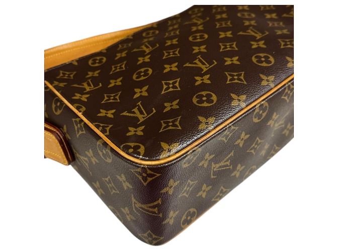 Borsa a Spalla Monogram Viva Cite GM di Louis Vuitton Marrone - vista 10