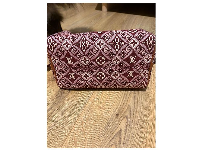 Louis Vuitton Speedy 25 Bandoliera in Jacquard Beige Bordò - vista 10