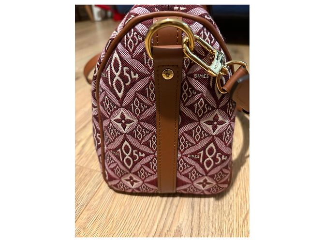 Louis Vuitton Speedy 25 Bandoliera in Jacquard Beige Bordò - vista 11