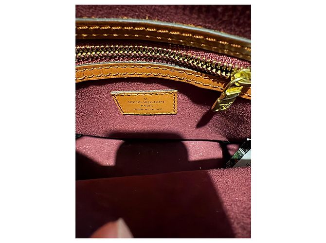 Louis Vuitton Speedy 25 Bandoliera in Jacquard Beige Bordò - vista 12