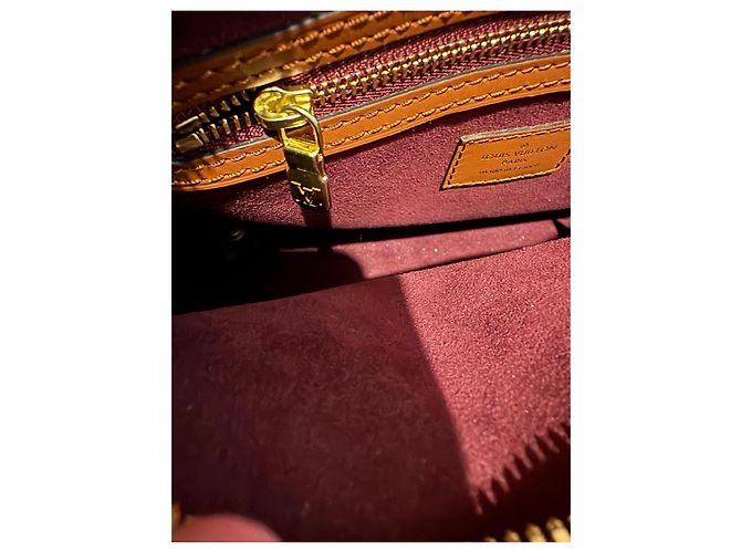 Louis Vuitton Speedy 25 Bandoliera in Jacquard Beige Bordò - vista 13