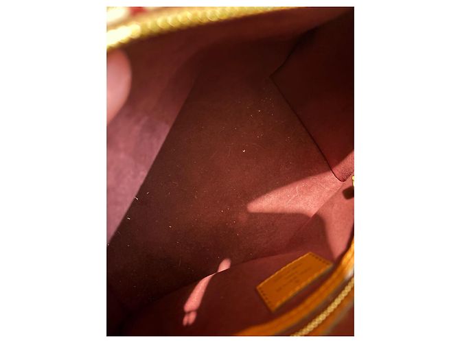 Louis Vuitton Speedy 25 Bandoliera in Jacquard Beige Bordò - vista 14