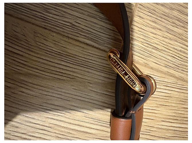 Louis Vuitton Speedy 25 Bandoliera in Jacquard Beige Bordò - vista 15