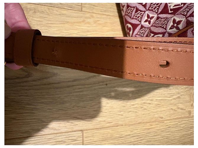 Louis Vuitton Speedy 25 Bandoliera in Jacquard Beige Bordò - vista 16