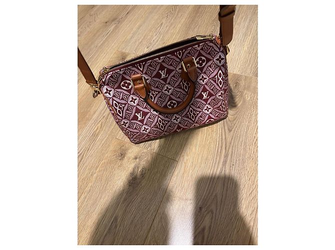 Louis Vuitton Speedy 25 Bandoliera in Jacquard Beige Bordò - vista 18