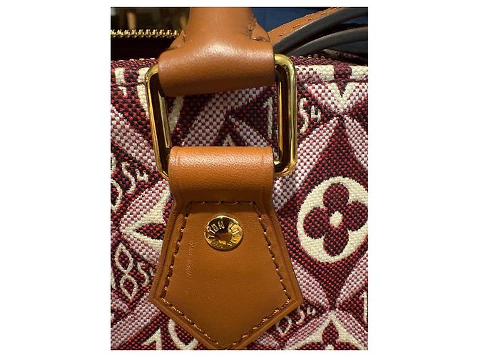 Louis Vuitton Speedy 25 Bandoliera in Jacquard Beige Bordò - vista 19