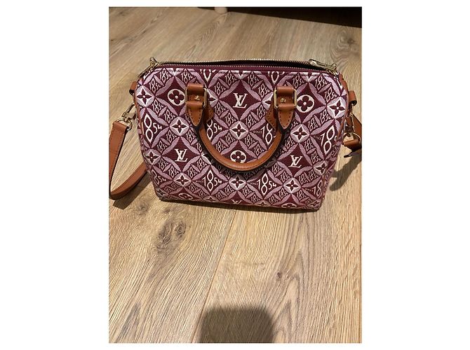 Louis Vuitton Speedy 25 Bandoliera in Jacquard Beige Bordò - vista 2