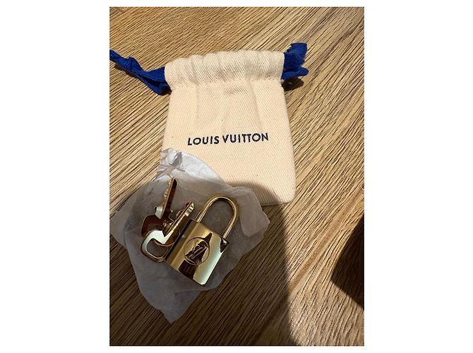 Louis Vuitton Speedy 25 Bandoliera in Jacquard Beige Bordò - vista 4