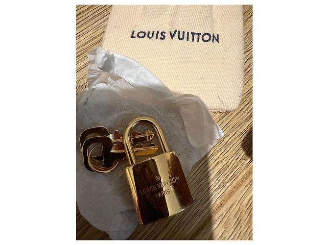 Louis Vuitton Speedy 25 Bandoliera in Jacquard Beige Bordò - vista 5