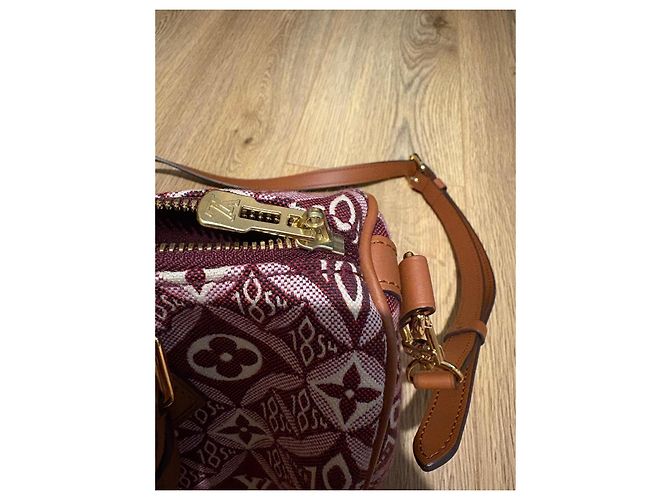 Louis Vuitton Speedy 25 Bandoliera in Jacquard Beige Bordò - vista 8