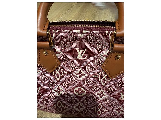 Louis Vuitton Speedy 25 Bandoliera in Jacquard Beige Bordò - vista 9
