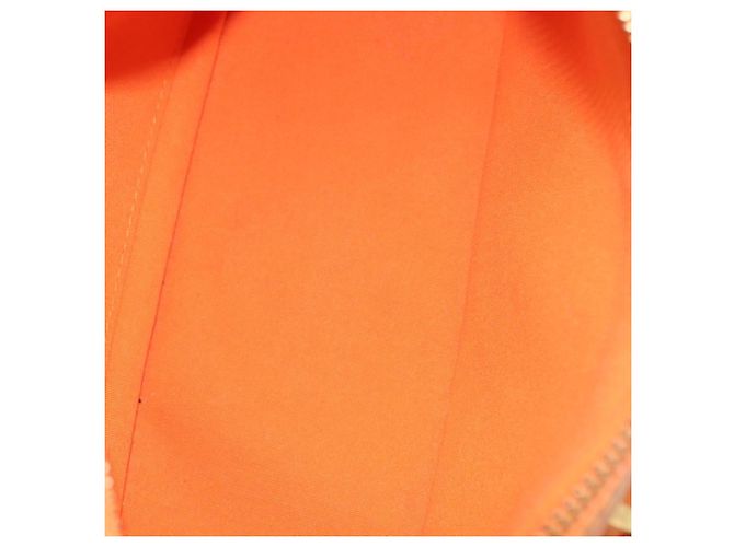 Bolso Danura Epi PM Louis Vuitton Naranja - vista 5