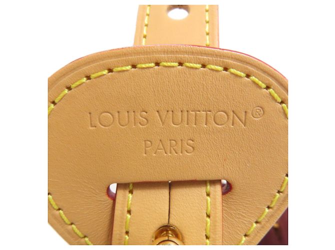 Borsa a Spalla All-in-BB Louis Vuitton Monogramma - vista 7