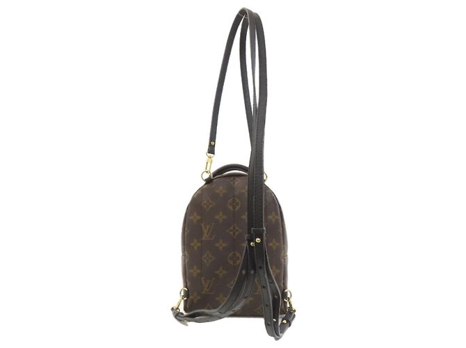 Mochila Mini Palm Springs de Louis Vuitton Monograma - vista 2