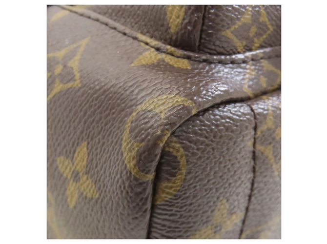 Mochila Mini Palm Springs de Louis Vuitton Monograma - vista 31