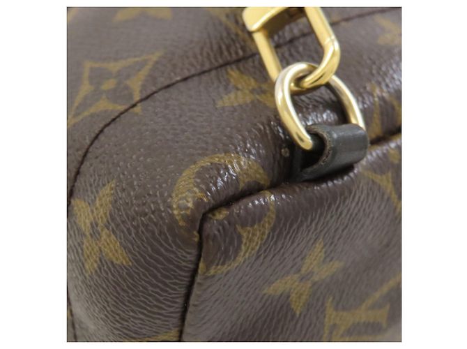 Mochila Mini Palm Springs de Louis Vuitton Monograma - vista 32