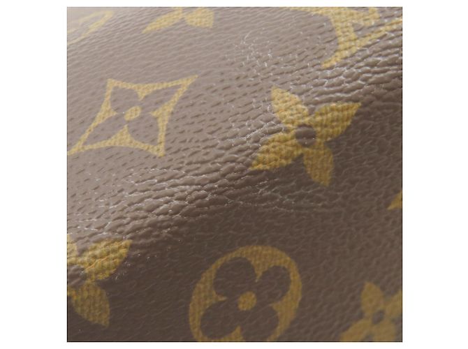 Bolso tote Monogram Iena PM de Louis Vuitton Monograma - vista 15