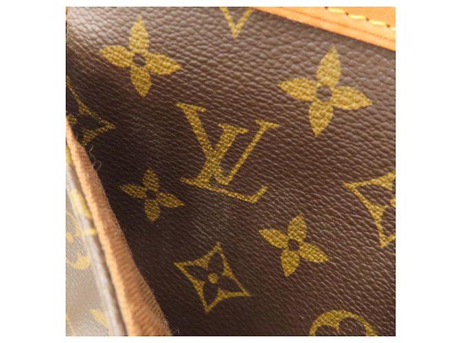 Borsa a Spalla Sologne Monogram Louis Vuitton Monogramma - vista 12