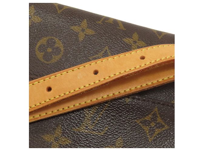 Borsa a Spalla Sologne Monogram Louis Vuitton Monogramma - vista 20