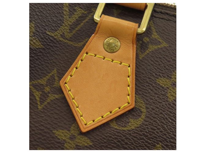 Borsa Alma Louis Vuitton in Tela Monogram Monogramma - vista 18