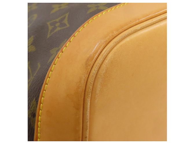 Borsa Alma Louis Vuitton in Tela Monogram Monogramma - vista 24