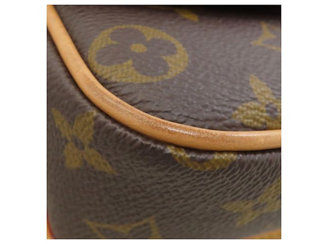 Borsa a mano Nano Diane M83298 di Louis Vuitton Marrone - vista 21