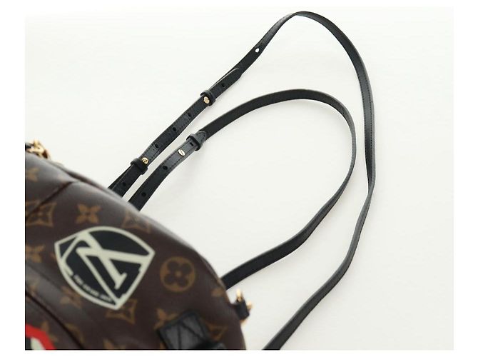 LOUIS VUITTON Borsa a Spalla Palm Springs Monogram World Tour M42971 Auth 171014V Monogramma - vista 16