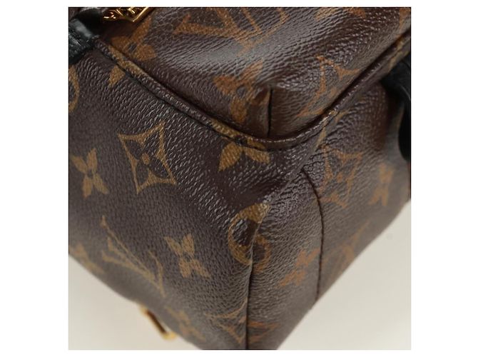 LOUIS VUITTON Borsa a Spalla Palm Springs Monogram World Tour M42971 Auth 171014V Monogramma - vista 17