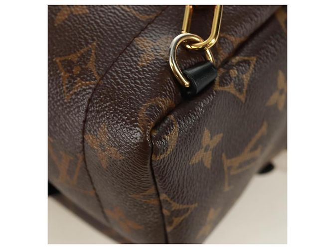 LOUIS VUITTON Borsa a Spalla Palm Springs Monogram World Tour M42971 Auth 171014V Monogramma - vista 20