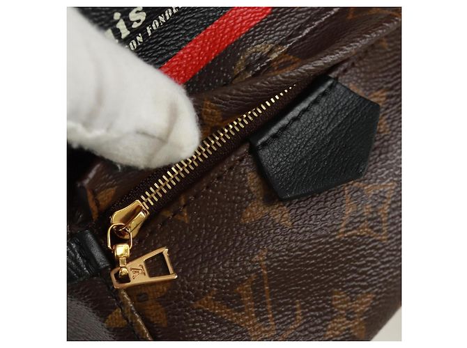 LOUIS VUITTON Borsa a Spalla Palm Springs Monogram World Tour M42971 Auth 171014V Monogramma - vista 24