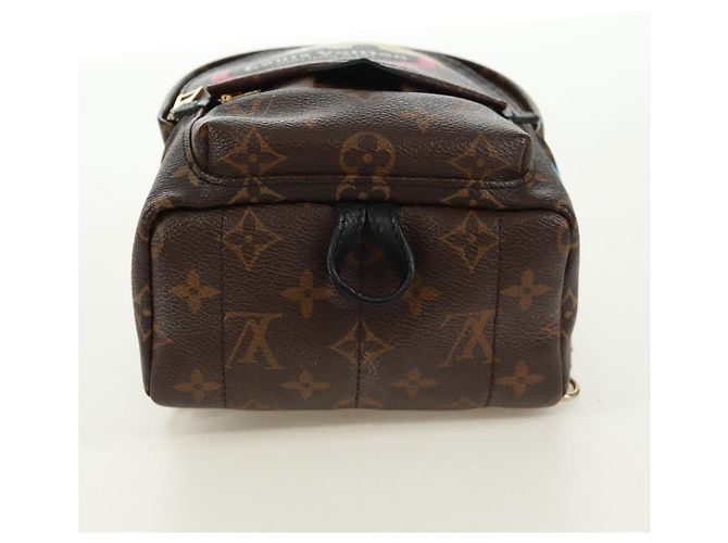 LOUIS VUITTON Borsa a Spalla Palm Springs Monogram World Tour M42971 Auth 171014V Monogramma - vista 5