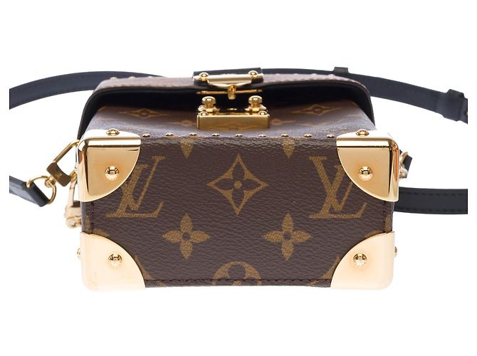 Borsa LOUIS VUITTON Camera Box in Tela Marrone - 103336 - vista 9