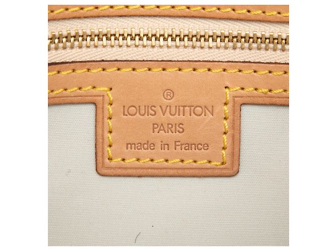 Louis Vuitton Gray Monogram Mini Lin Camille Marrone Grigio - vista 5