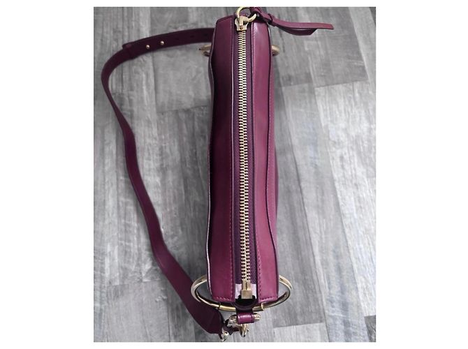 Borsa a mano Chloé Roy in pelle e camoscio Bordò - vista 9