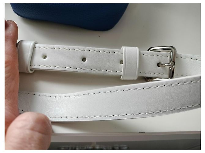 Borsa a tracolla Louis Vuitton Danube Blu Eggshell in tela Bianco sporco - vista 8