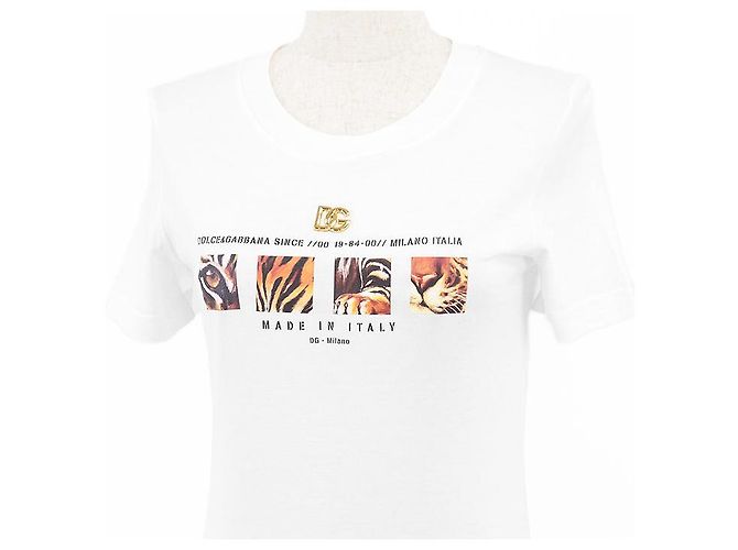Dolce & Gabbana Camiseta de algodón con logo DG Dolce&Gabbana Blanco - vista 2