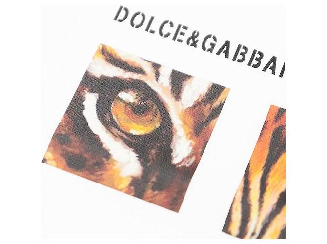 Dolce & Gabbana Camiseta de algodón con logo DG Dolce&Gabbana Blanco - vista 4
