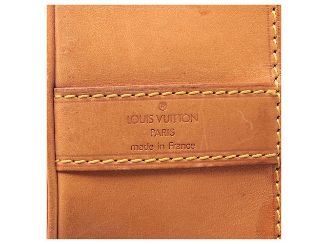 Borsa a Spalla Randonnee GM Louis Vuitton Marrone - vista 4