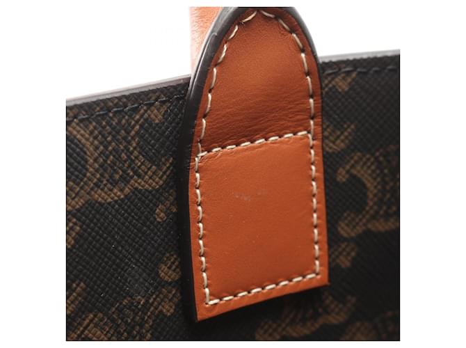Céline Borsa tote verticale triomphe Celine piccola Marrone Nero - vista 5