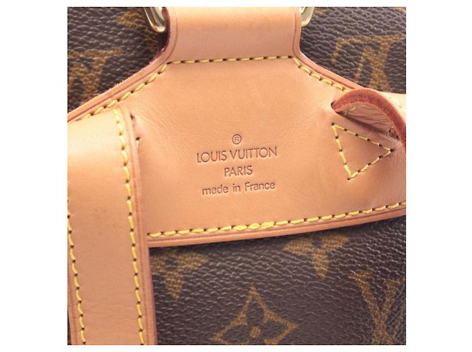 Zaino/Borsa Montsouris MM Louis Vuitton Marrone - vista 4