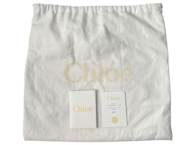 Bolso de Hombro Marcie de Rafias para Mujer Chloé - vista 19