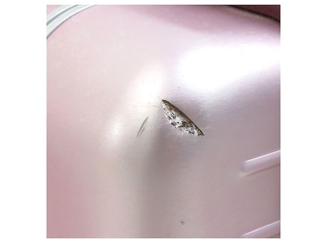 Borsa a spalla bordeaux e rosa metallico Christian Dior Argento Bordò - vista 6