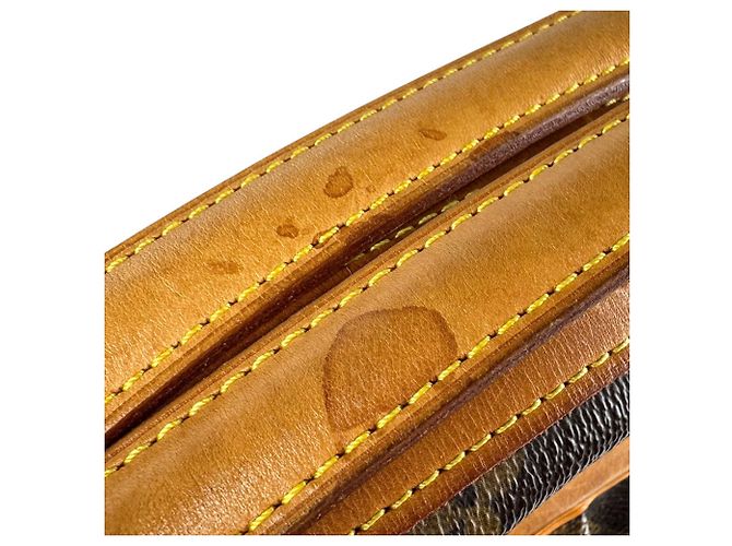 Borsa Monogram Clara di Louis Vuitton Marrone Monogramma - vista 11