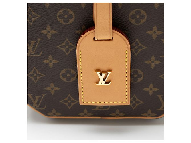 Borsa a spalla Petite Boite Chapeau in tela Monogram Louis Vuitton Marrone - vista 10