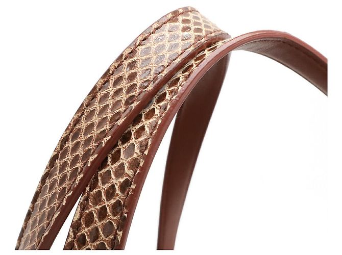 Bottega Veneta Cabat Ayers Leder Python 2-Wege Tote Bag Braun - Ansicht 4
